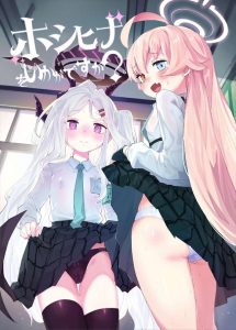 ≪ブルアカ≫ ヒナとホシノの1日担任になった先生が5限までの各授業で連続パコり♪生徒の為なら干からびるまで射精する生徒想いの先生♡
